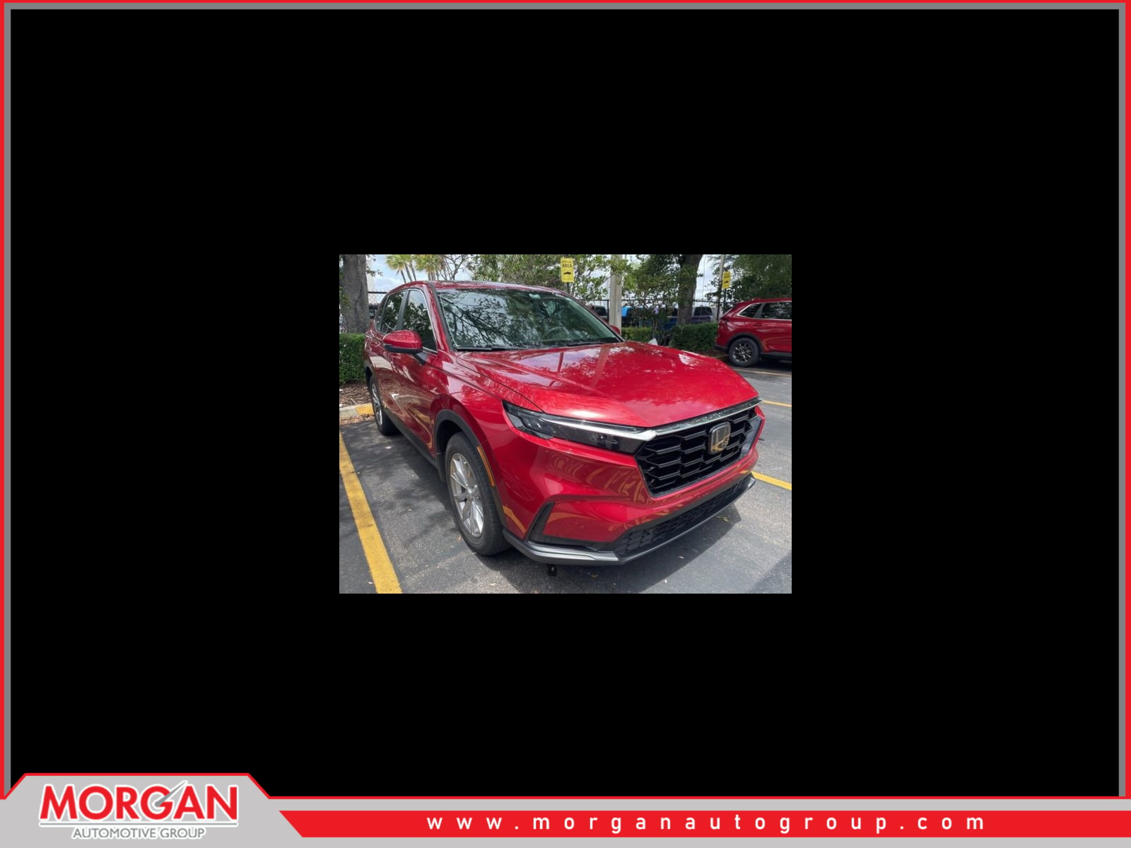 2024 Honda CR-V EX-L AWD's photo