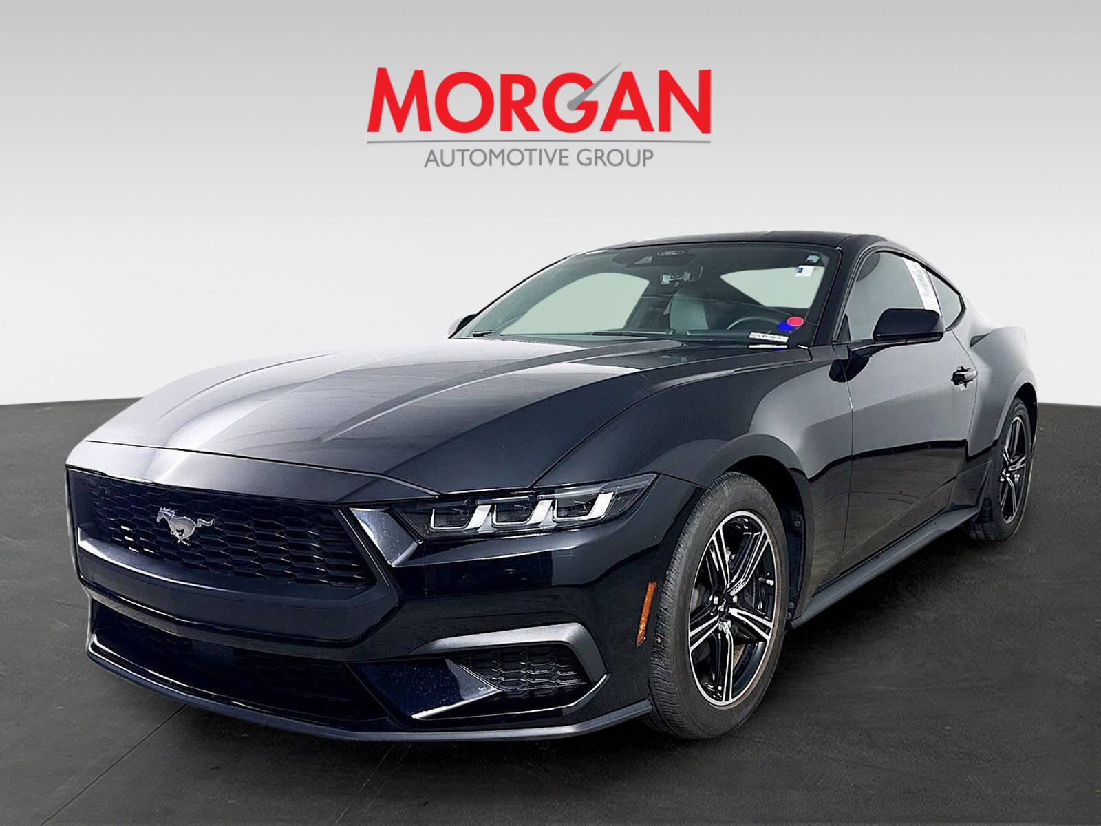 Used 2024 Shadow Black Ford EcoBoost image 4
