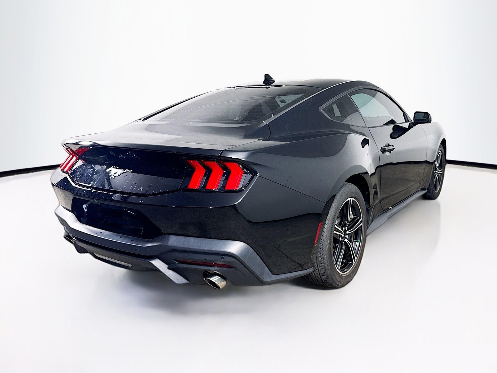Used 2024 Shadow Black Ford EcoBoost image 26