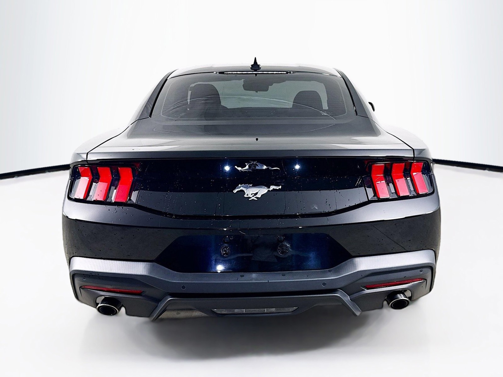 Used 2024 Shadow Black Ford EcoBoost image 25