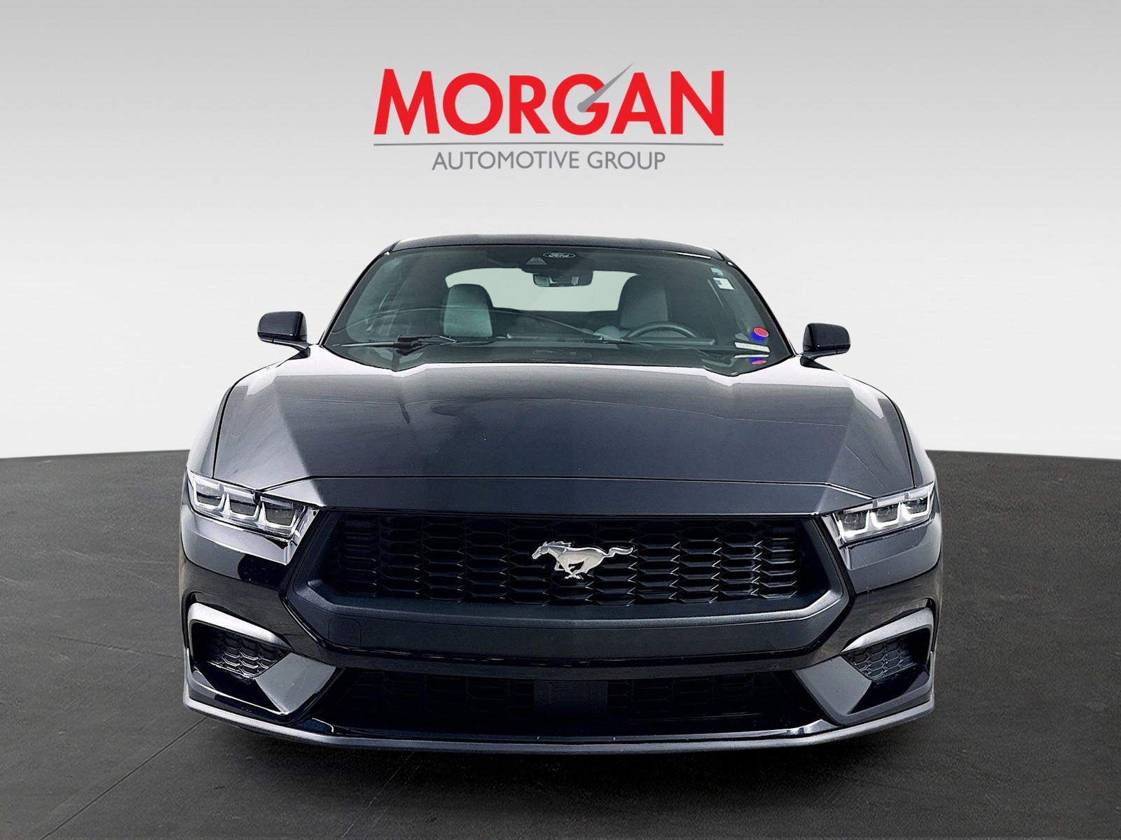 Used 2024 Shadow Black Ford EcoBoost image 3