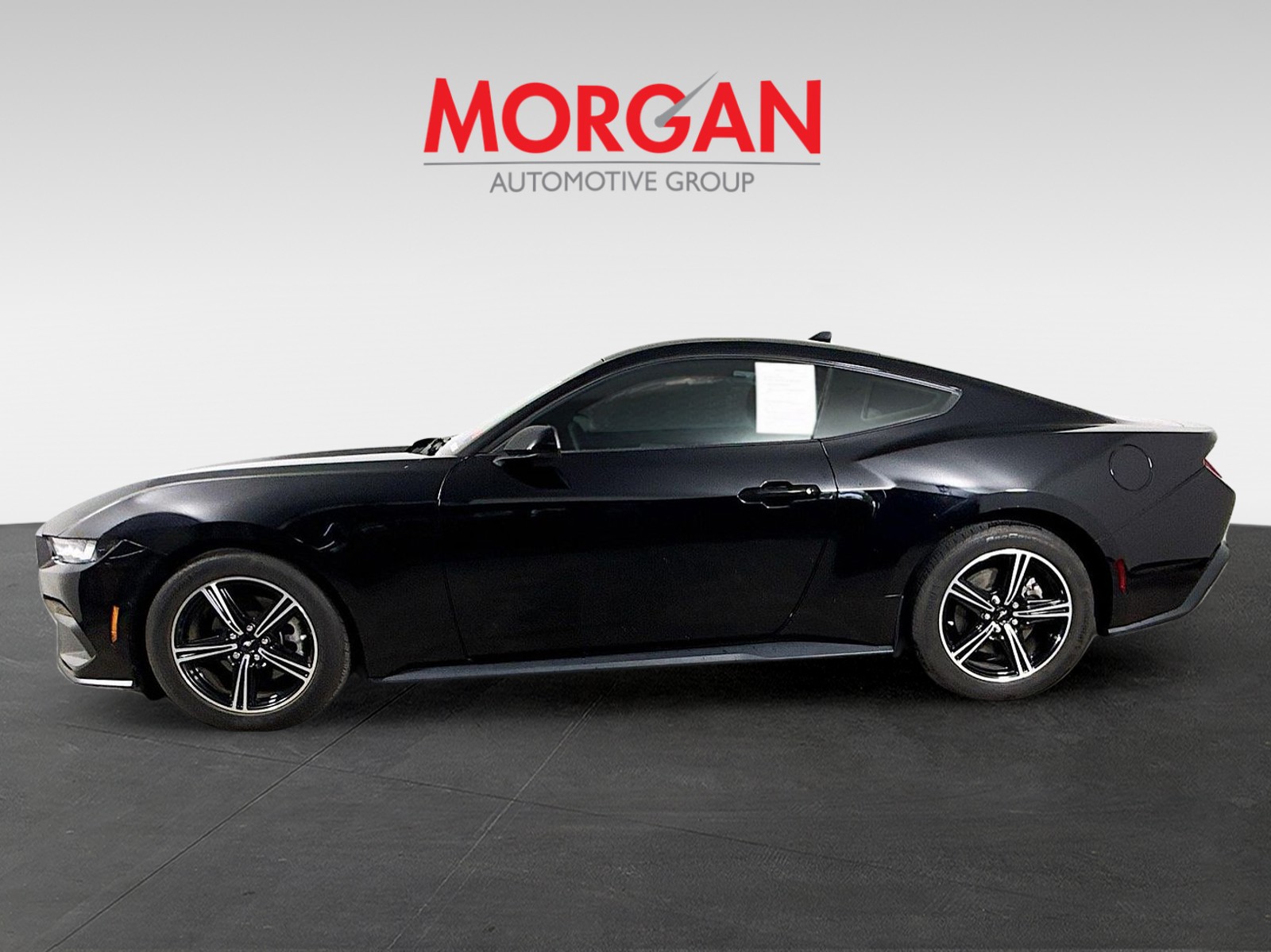 Used 2024 Shadow Black Ford EcoBoost image 6